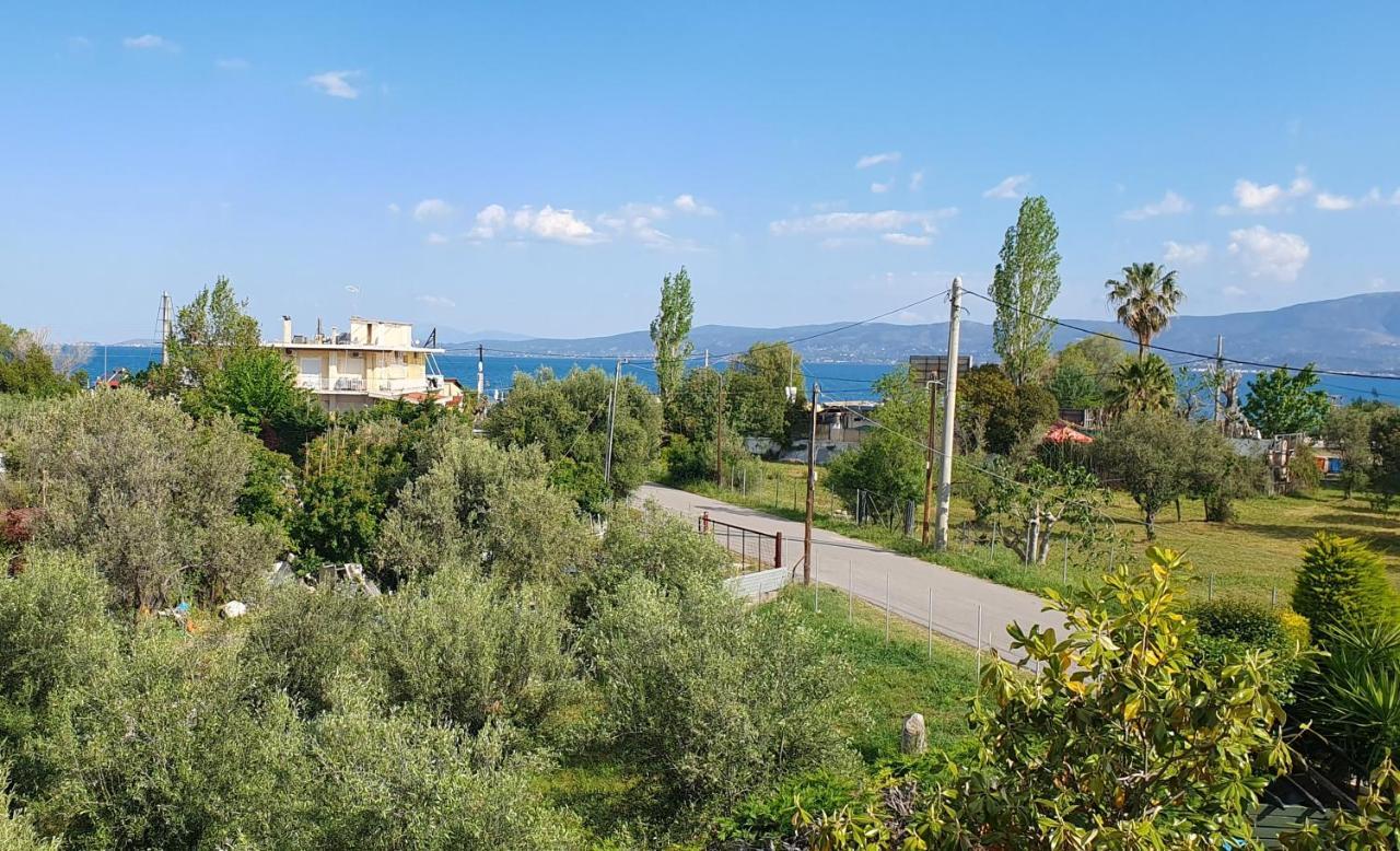 Vacation And Relaxation Home Oropos Nea Palatia Exterior photo